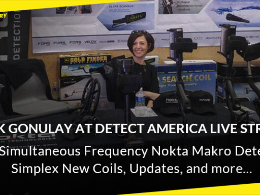 Dilek Gonulay at Detect America Live Stream Interview