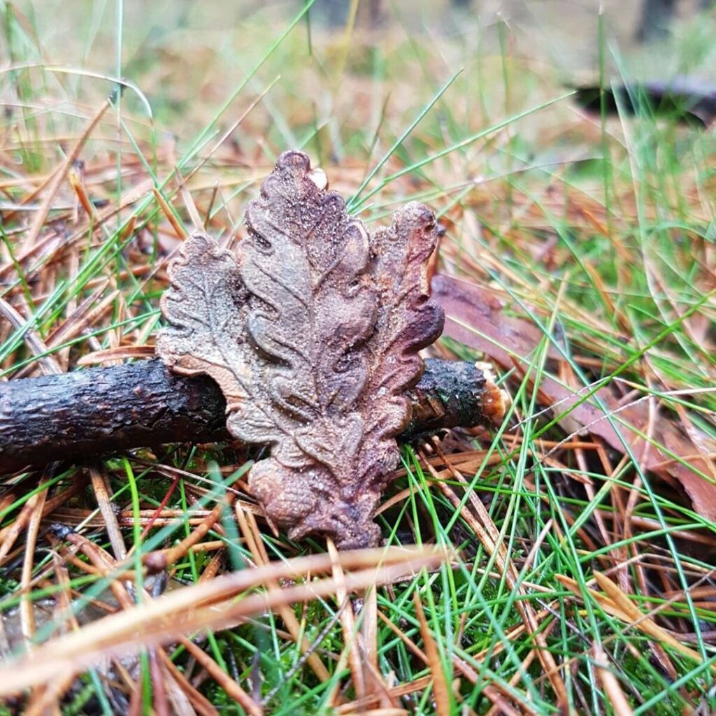 Relic of World War II excavated with a metal detector.